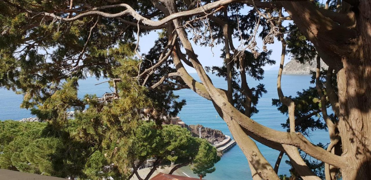 Villa Mare Blu Levanto Exterior foto